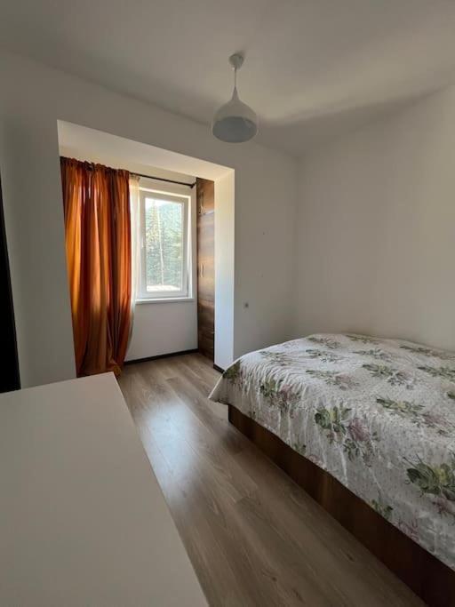 Ana'S Cosy Home In Borjomi Center Dış mekan fotoğraf